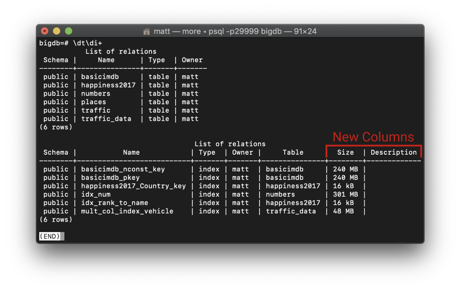 results of running \dt\di+